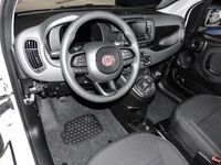 Gebraucht Fiat Panda 69 PS (50 kW) 2025 Kleinwagen