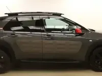 Gebraucht Citroën C4 Cactus Shine Edition 99 PS (72 kW) 2014 Grau Kleinwagen