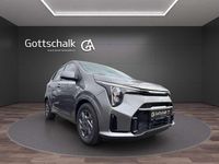 Neu Kia Picanto Vision 68 PS (50 kW) 2025 Astrograu metallic Kleinwagen