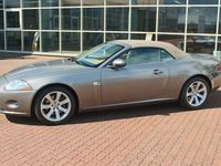 Gebraucht Jaguar XK 258 PS (189 kW) 2009 Grau Cabrio