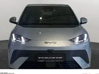 Occasion BYD Dolphin Surf Active 64 kW (88 ch) 2025 Bleue Citadine