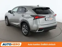 Gebraucht Lexus NX300h E-FOUR Executive Line 197 PS (144 kW) 2019 Grau SUV