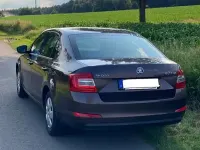 Gebraucht Skoda Octavia Active 86 PS (63 kW) 2014 Braun Kombi