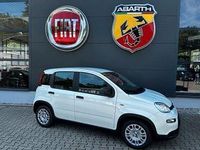Neu Fiat Panda Icon 65 PS (47 kW) 2026 Weiß Limousine