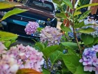 Gebraucht Nissan Skyline 250 PS (183 kW) 1994 Grün Coupé