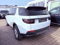 Gebraucht Land Rover Discovery Sport S 150 PS (110 kW) 2020 Weiß SUV