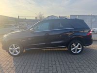 Gebraucht Mercedes ML350 258 PS (189 kW) 2012 Tansanitblau  metalliclack SUV
