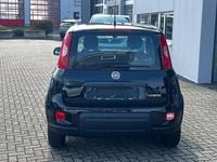 Gebraucht Fiat Panda 69 PS (50 kW) 2024 Cinema schwarz Kleinwagen