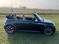 Usata Mini Cooper S Cabriolet 170 CV (125 kW) 2008 Nero Cabrio