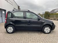 Gebraucht Fiat Panda Dynamic 60 PS (44 kW) 2007 Schwarz Kleinwagen