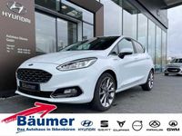 Gebraucht Ford Fiesta Vignale 101 PS (74 kW) 2020 Frostweiß Kleinwagen