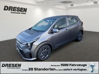 Neu Kia Picanto Vision 68 PS (50 kW) 2025 M7g) astro grey m (grau Kleinwagen
