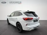 Neu Ford Kuga ST-Line X 242 PS (177 kW) 2026 Frostweiss SUV