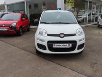 Gebraucht Fiat Panda Easy 69 PS (50 kW) 2020 Weiß Kleinwagen