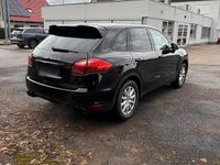 Gebraucht Porsche Cayenne 245 PS (180 kW) 2013 Schwarz SUV