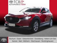 Gebraucht Mazda CX-30 Selection 150 PS (110 kW) 2021 Rot SUV