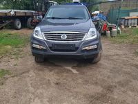 Usata SsangYong Rexton 178 CV (130 kW) 2017 Grigio SUV