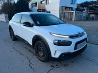 Gebraucht Citroën C4 Cactus 102 PS (75 kW) 2019 Weiß Kleinwagen