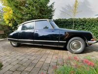 gebraucht Citroën DS Pallas