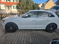 Gebraucht Audi SQ5 326 PS (239 kW) 2017 Weiß SUV