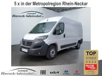 Gebraucht Fiat Ducato Easy 140 PS (102 kW) 2023 Weiß Van