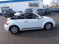Gebraucht VW Beetle Cabriolet 105 PS (77 kW) 2015 Pure white (metallic) Cabrio