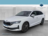 Gebraucht Skoda Octavia Selection 150 PS (110 kW) 2024 Weiß Kombi