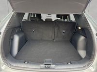 Gebraucht Ford Kuga ST-Line 150 PS (110 kW) 2023 Silber SUV