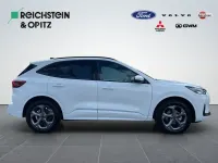 Neu Ford Kuga ST-Line 186 PS (136 kW) 2026 Weiß SUV