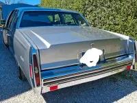 Gebraucht Cadillac Deville 200 PS (147 kW) 1979 Grau Limousine