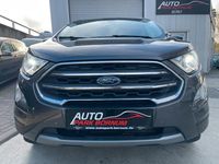 Gebraucht Ford Ecosport Titanium 125 PS (91 kW) 2019 Grau SUV