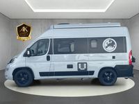 Gebraucht Fiat Ducato 160 PS (117 kW) 2021 Grau Van