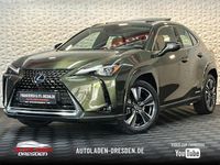 Gebraucht Lexus UX 250h Luxury Line 184 PS (135 kW) 2022 Grün SUV