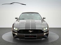 Gebraucht Ford Mustang Convertible 309 PS (227 kW) 2019 Grau Cabrio
