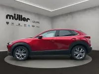 Gebraucht Mazda CX-30 Selection 122 PS (89 kW) 2019 Soul red crystal SUV