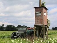 Gebraucht Jeep Willys 102 PS (75 kW) 1965 Grün