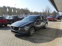 Gebraucht Mazda CX-30 Takumi-Line 186 PS (136 kW) 2024 SUV