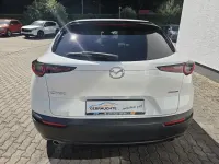 Gebraucht Mazda CX-30 Homura-Line 122 PS (89 kW) 2022 Weiß SUV