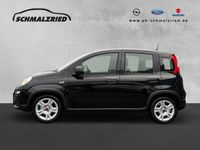 Gebraucht Fiat Panda 69 PS (50 kW) 2024 Othercolor Kleinwagen