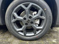 Neu BYD Dolphin Surf Comfort 114 kW (156 PS) 2025 Blau Kleinwagen