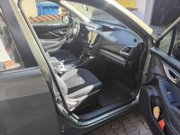 Gebraucht Subaru Forester Trend 150 PS (110 kW) 2020 Grün SUV