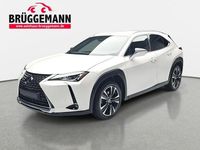 Gebraucht Lexus UX 145 PS (106 kW) 2020 Weiß SUV