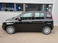 Neu Fiat Panda Icon 65 PS (47 kW) 2026 Schwarz Kleinwagen