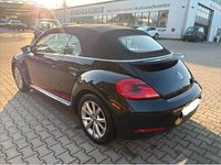Gebraucht VW Beetle CLUB 105 PS (77 kW) 2016 Schwarz Kleinwagen