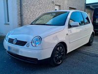Gebraucht VW Lupo 50 PS (36 kW) 2004 Weiß Kleinwagen