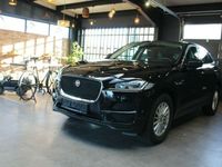 gebraucht Jaguar F-Pace Pure*Klima*PDC*Kamera*Navi*SHZ*Temp