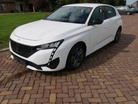 Gebraucht Peugeot 308 Business-Line 131 PS (96 kW) 2022 Weiß Limousine