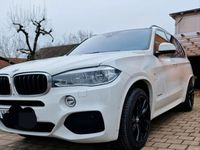 gebraucht BMW X5 xDrive M Paket 20"Sandheitzung