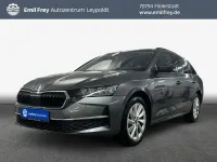 Gebraucht Skoda Octavia Selection 150 PS (110 kW) 2025 Graphitgrau metallic Kombi
