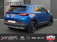 Gebraucht Opel Grandland X Dynamic 131 PS (96 kW) 2017 Topas blau SUV
